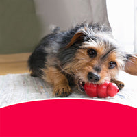 HKM-1857085 Natural Rubber Dog Toy with Knot Design for Clean Teeth and Durable Biting