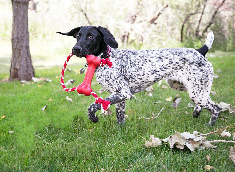 HKM-1857085 Natural Rubber Dog Toy with Knot Design for Clean Teeth and Durable Biting