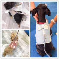 HKM-1859645 Korean Style Grid Pet Harness for Small and Medium Dogs with Hand Holding Rope - Available in Blue, Brown, Pink, Gray