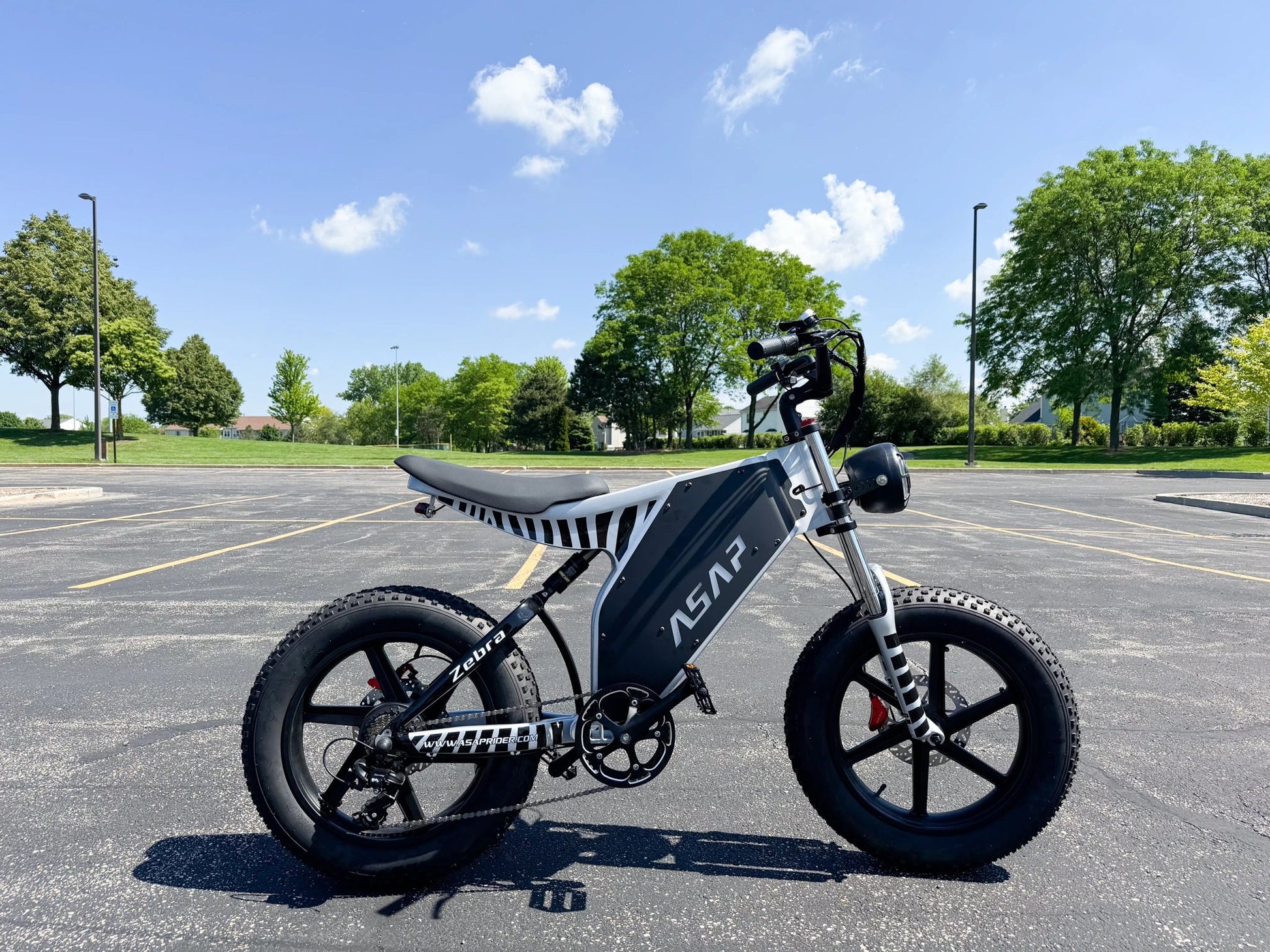HKM-186131 20 Inch Fat Tire Electric Bicycle with 48V 1000W Motor, 7-Speed and Hydraulic Disc Brakes
