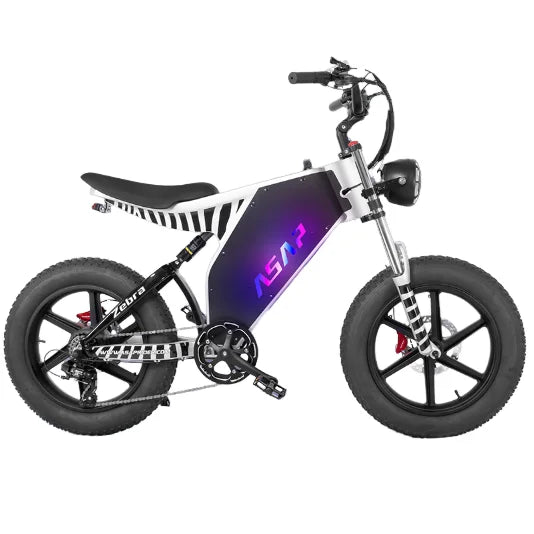 HKM-186131 20 Inch Fat Tire Electric Bicycle with 48V 1000W Motor, 7-Speed and Hydraulic Disc Brakes