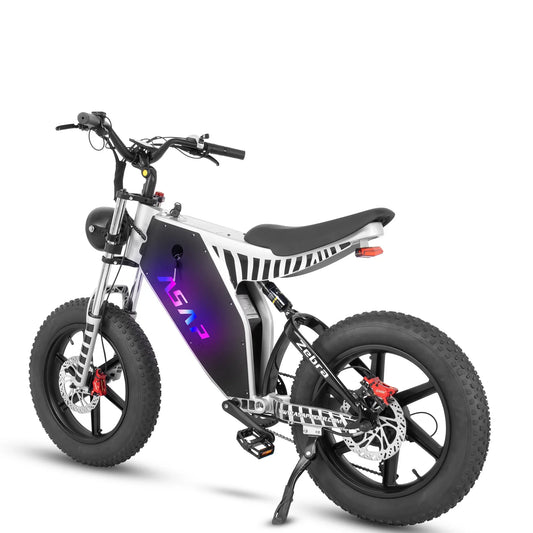 HKM-186131 20 Inch Fat Tire Electric Bicycle with 48V 1000W Motor, 7-Speed and Hydraulic Disc Brakes