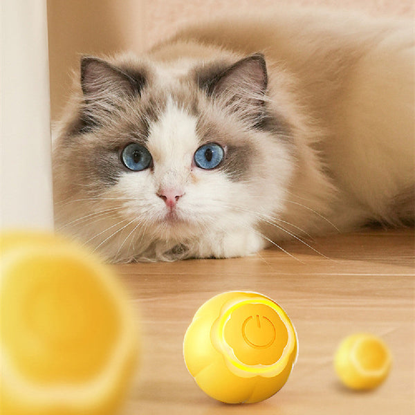 HKM-1865661 Interactive Rolling Ball Cat Toy for Boredom Relief - Bite-Resistant Design, USB Rechargeable, Multiple Colors Available