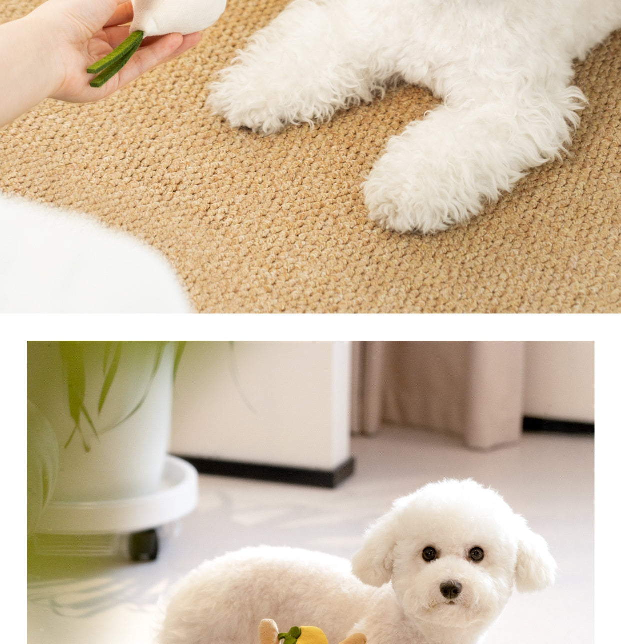 HKM-1867837 Interactive Food Leakage Educational Toys for Dogs - Fun Fruits & Vegetables Simulation Set