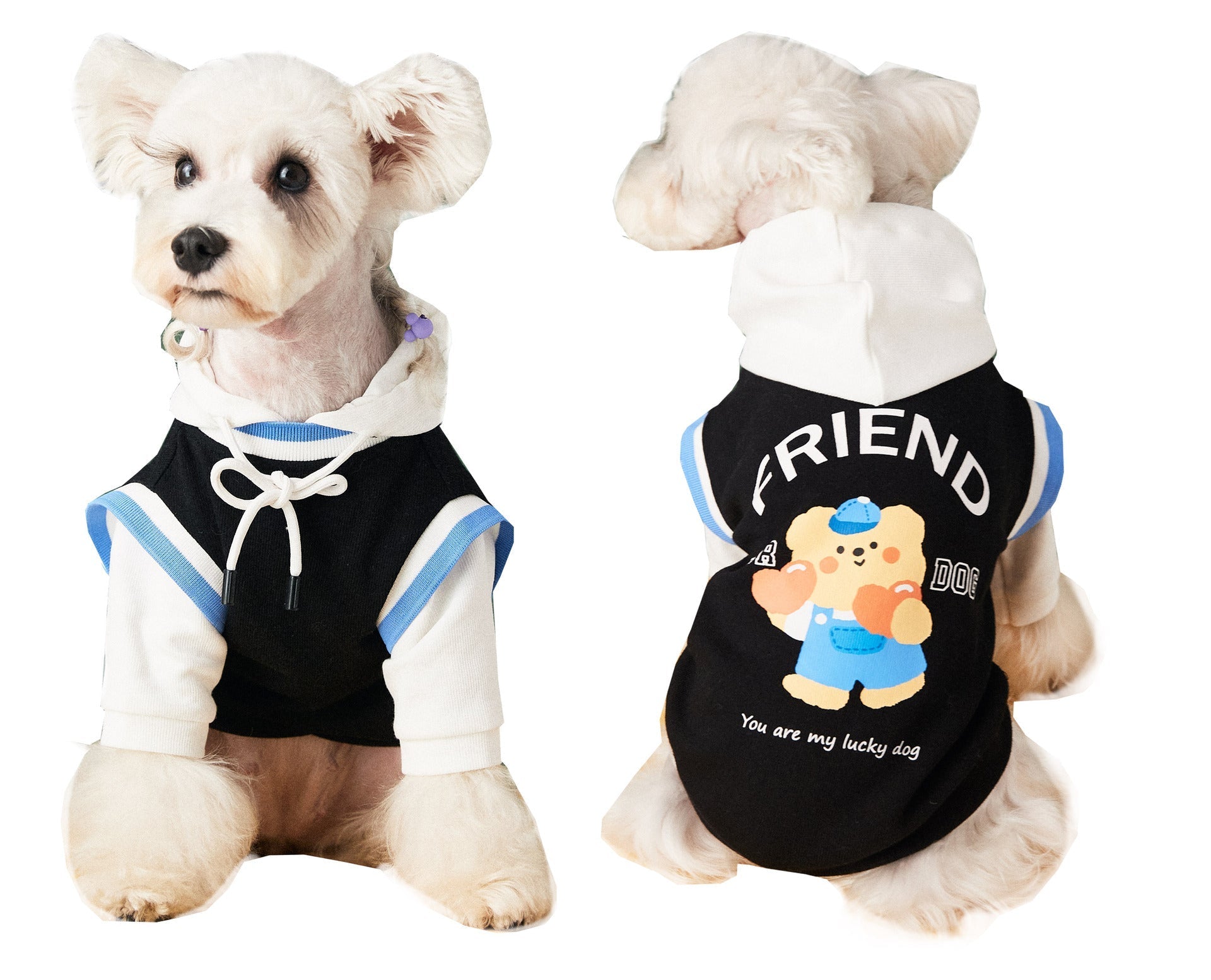 HKM-1868093 Stylish Contrast Color Pet Sweater in Black, Blue, and Green for Ultimate Comfort