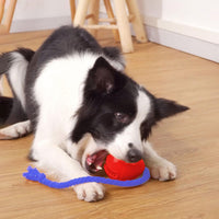 HKM-1870269 Durable Interactive Dog Puzzle Toy with Rope for Stress Relief and Crate Training