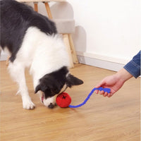 HKM-1870269 Durable Interactive Dog Puzzle Toy with Rope for Stress Relief and Crate Training