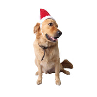 HKM-1870397 Pet Christmas Red Hats for Cats and Dogs - Short Plush, Size S & L