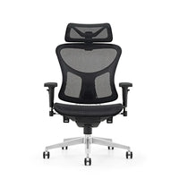 HKM-187603 Ergonomic High Back Mesh Executive Office Chair with Adjustable Arms and Swivel Function