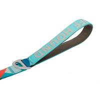 HKM-1878333 Adjustable Nylon Stretchable Dog Leash 120-150 cm with Towing Rope