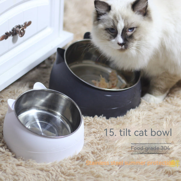 HKM-1878717 Stainless Steel Double Dog Bowl with Oblique Mouth for Enhanced Feeding Comfort