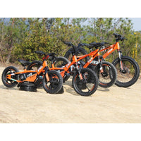 HKM-187923 36V 250W Electric Balance Bike with 12-Inch Brushless Hub Motor, Aluminum Alloy Frame, 2-Speed, Disc Brake