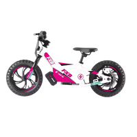 HKM-187923 36V 250W Electric Balance Bike with 12-Inch Brushless Hub Motor, Aluminum Alloy Frame, 2-Speed, Disc Brake