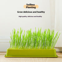 HKM-1881789 Hydroponic Cat Grass Grow Kit - Large & Small Options with Seeds Included