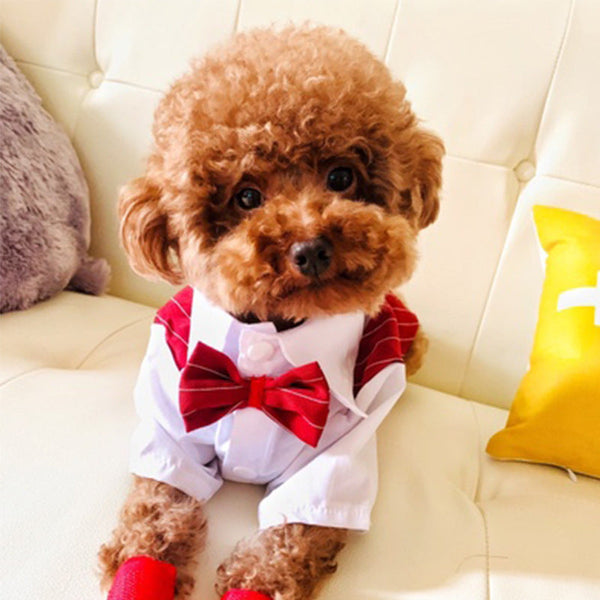 HKM-1882685 Chic Striped Suit Shirt for Dogs with Bow Tie - Multiple Colors and Sizes Available