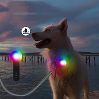 HKM-1886269 Pet Safety Light Pendant with USB Charging and Waterproof Design