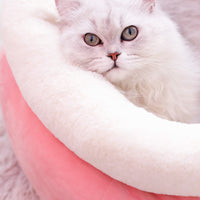 HKM-1888317 Winter Cat Litter Nest - Soft Cloth Design, Available in Pink Ice Cream, Rabbit, and Money Bag Styles
