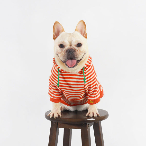HKM-1895101 Orange Hooded Sweater for Dogs - Cotton Pet Clothing in Sizes M to 4XL