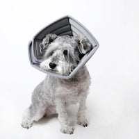 HKM-1897789 Monochrome Pet Anti-Bite Headgear - Adjustable Size Options for Dogs