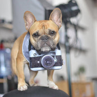 HKM-1900605 Plush Dog Camera Photo Prop Toy - Interactive Photography Accessory for Pets