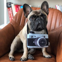 HKM-1900605 Plush Dog Camera Photo Prop Toy - Interactive Photography Accessory for Pets