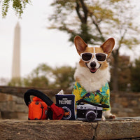 HKM-1900605 Plush Dog Camera Photo Prop Toy - Interactive Photography Accessory for Pets