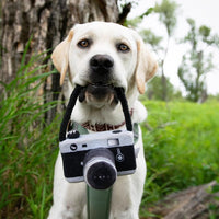 HKM-1900605 Plush Dog Camera Photo Prop Toy - Interactive Photography Accessory for Pets