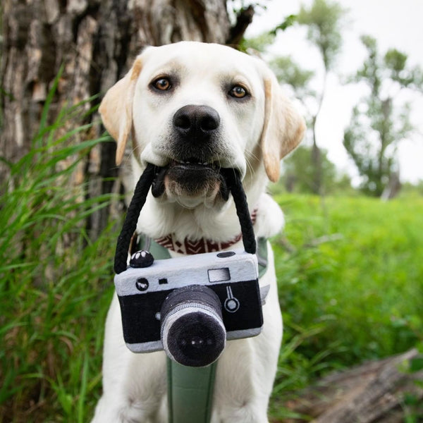 HKM-1900605 Plush Dog Camera Photo Prop Toy - Interactive Photography Accessory for Pets