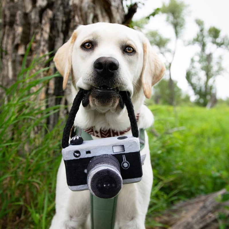 HKM-1900605 Plush Dog Camera Photo Prop Toy - Interactive Photography Accessory for Pets