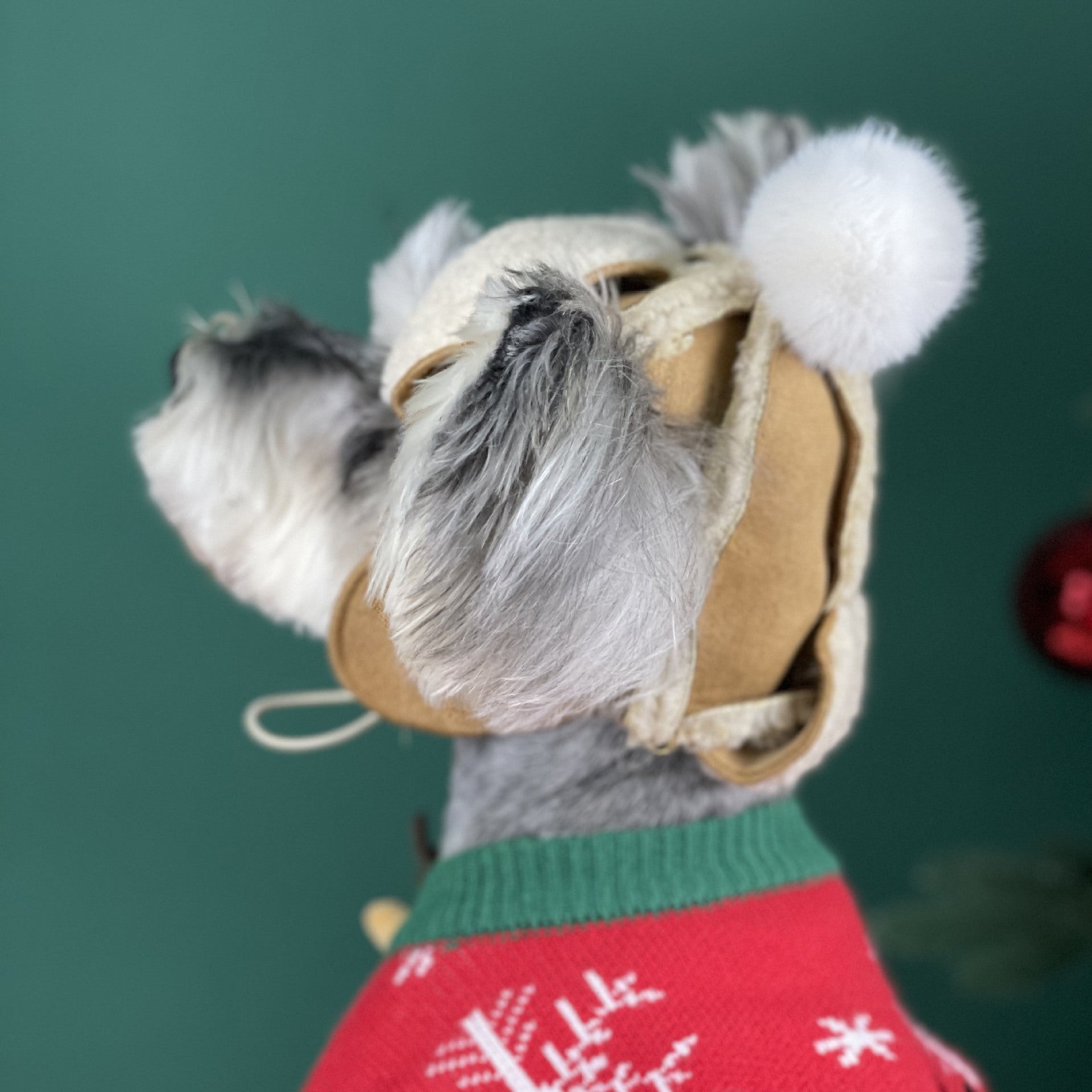HKM-1903165 Brown Dog Hat for Schnauzers and Teddies - All-Season Pet Accessory
