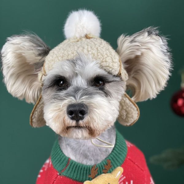 HKM-1903165 Brown Dog Hat for Schnauzers and Teddies - All-Season Pet Accessory