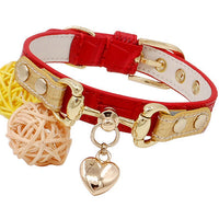 HKM-1903549 Lizard Pattern Double Buckle Leather Pet Collar in Wine Red, Red, and Green - Various Sizes Available