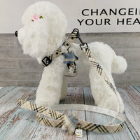 HKM-1904829 Stylish Leather Pet Collar and Leash Set with Triangle Chest Strap