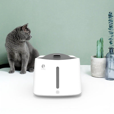 HKM-1907389 Automatic Cat Waterer with Induction Sensor and Lithium Battery