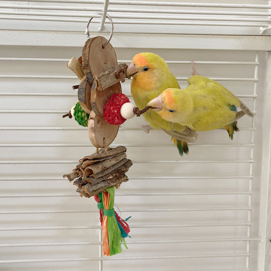HKM-190739 Colorful Apple Wood Bite Toy for Parrots - Decorative Pendant with Chewable Skewers