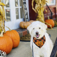 HKM-1908797 Halloween Dog Bandana with Pumpkin and Skeleton Appliques for Pets – Neck Size Up to 22 Inches