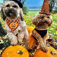 HKM-1908797 Halloween Dog Bandana with Pumpkin and Skeleton Appliques for Pets – Neck Size Up to 22 Inches