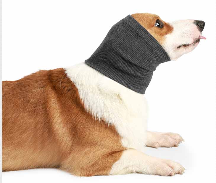 HKM-1908925 Comfortable Polyester Dog Headgear Bib - Blue and Gray, Sizes S, M, L
