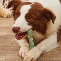 HKM-1909949 Durable TPR Chew Toy for Dog Teeth Cleaning and Anxiety Relief