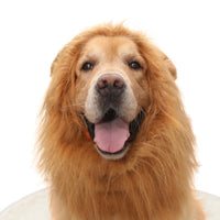 HKM-1910973 Dog Lion Head Costume Hat - Velvet Tie-Dye Design for Fun Pet Dress-Up