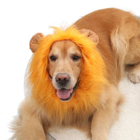 HKM-1910973 Dog Lion Head Costume Hat - Velvet Tie-Dye Design for Fun Pet Dress-Up