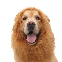 HKM-1910973 Dog Lion Head Costume Hat - Velvet Tie-Dye Design for Fun Pet Dress-Up