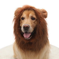 HKM-1910973 Dog Lion Head Costume Hat - Velvet Tie-Dye Design for Fun Pet Dress-Up