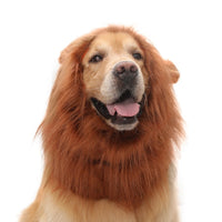 HKM-1910973 Dog Lion Head Costume Hat - Velvet Tie-Dye Design for Fun Pet Dress-Up