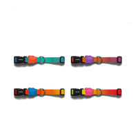 HKM-1911101 Gradient Nylon Ribbon Dog Collar with Edge Reinforcement