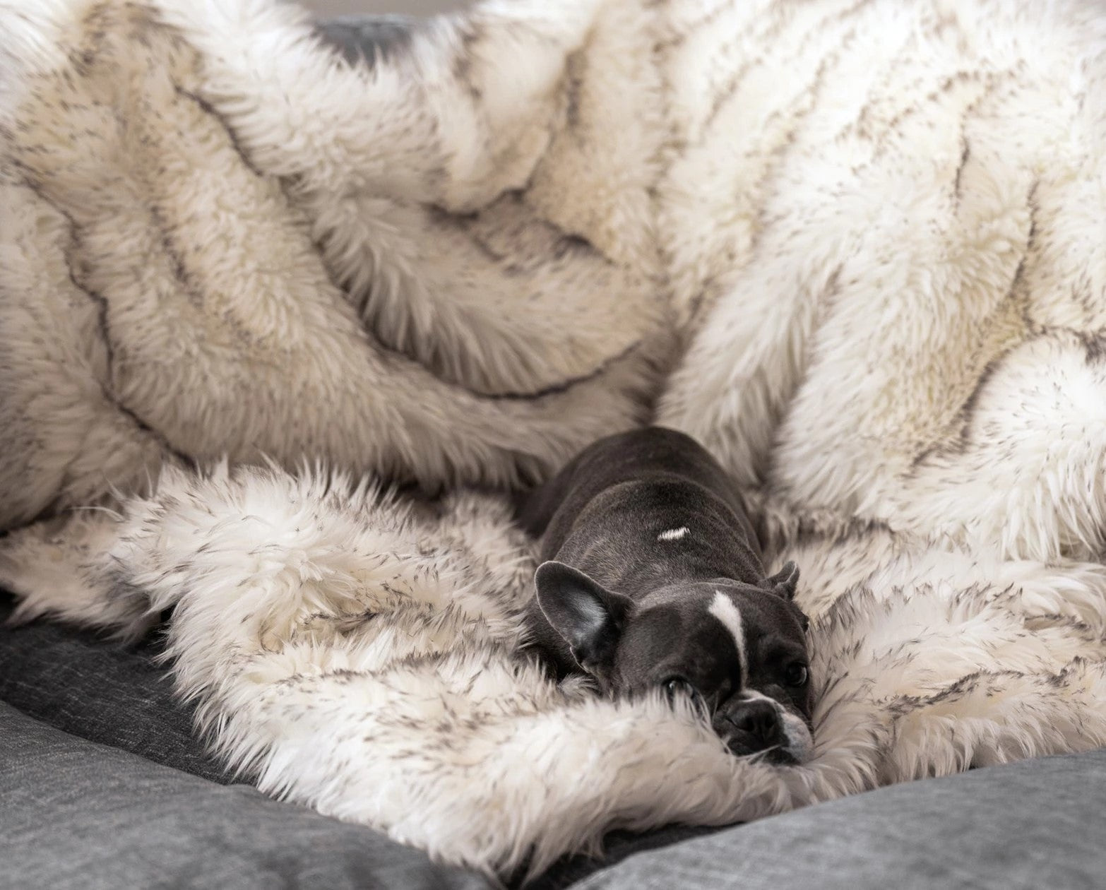 HKM-1921853 Plush Waterproof Dog House Blanket - Soft Cloth Pet Nest in Beige