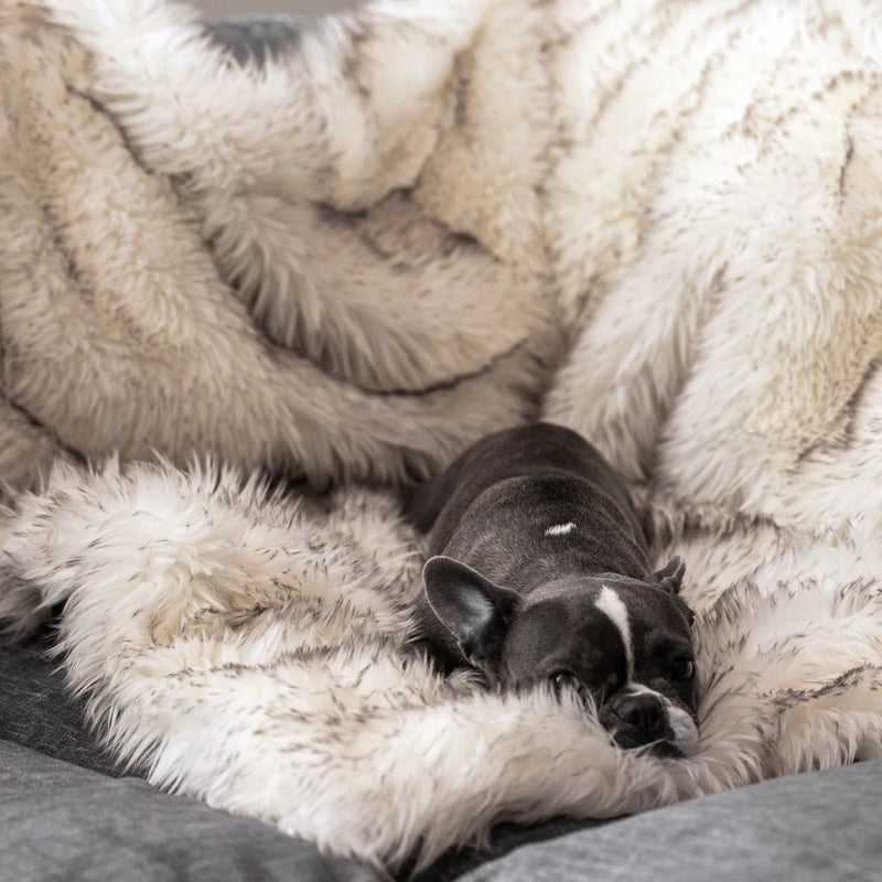 HKM-1921853 Plush Waterproof Dog House Blanket - Soft Cloth Pet Nest in Beige