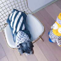 HKM-1925181 Denim Dog Vest with Zebra Stripes for Small to Extra Large Dogs