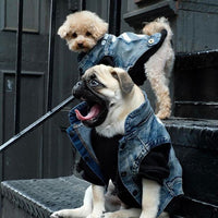 HKM-1925181 Denim Dog Vest with Zebra Stripes for Small to Extra Large Dogs
