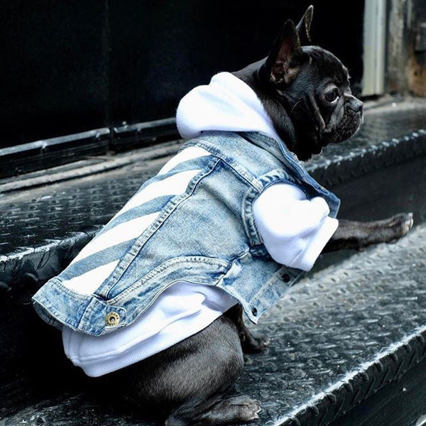 HKM-1925181 Denim Dog Vest with Zebra Stripes for Small to Extra Large Dogs